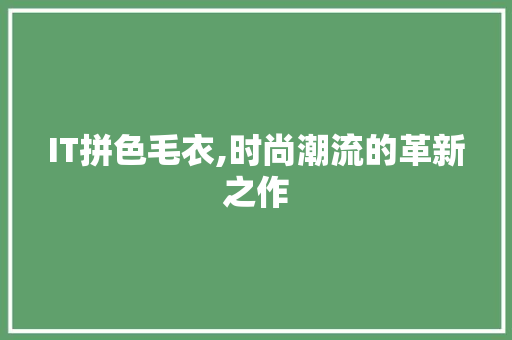 IT拼色毛衣,时尚潮流的革新之作