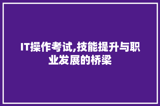 IT操作考试,技能提升与职业发展的桥梁