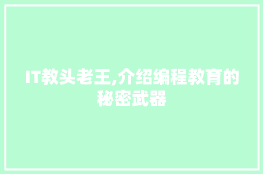 IT教头老王,介绍编程教育的秘密武器