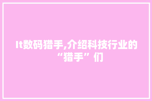 It数码猎手,介绍科技行业的“猎手”们 网站优化