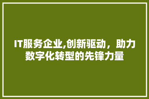 IT服务企业,创新驱动，助力数字化转型的先锋力量 AI技术学习