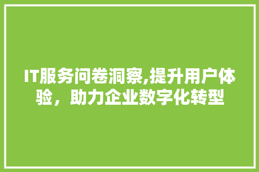 IT服务问卷洞察,提升用户体验，助力企业数字化转型 网站优化