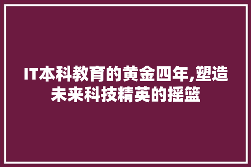 IT本科教育的黄金四年,塑造未来科技精英的摇篮