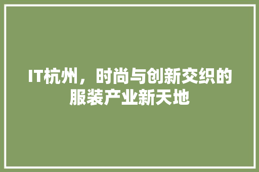IT杭州，时尚与创新交织的服装产业新天地 网站开发