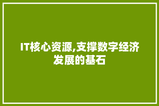 IT核心资源,支撑数字经济发展的基石