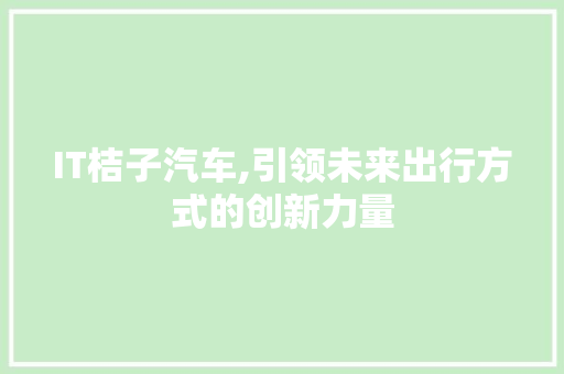IT桔子汽车,引领未来出行方式的创新力量 网站优化
