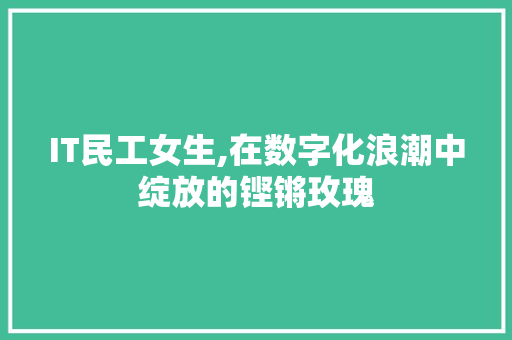 IT民工女生,在数字化浪潮中绽放的铿锵玫瑰