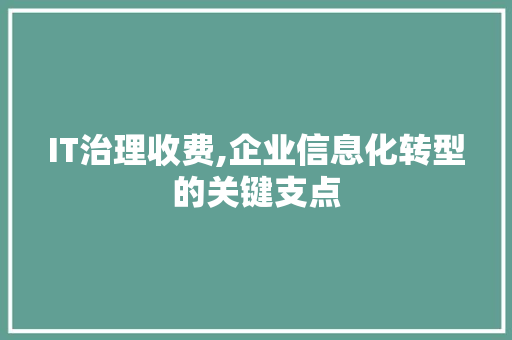 IT治理收费,企业信息化转型的关键支点 网站优化