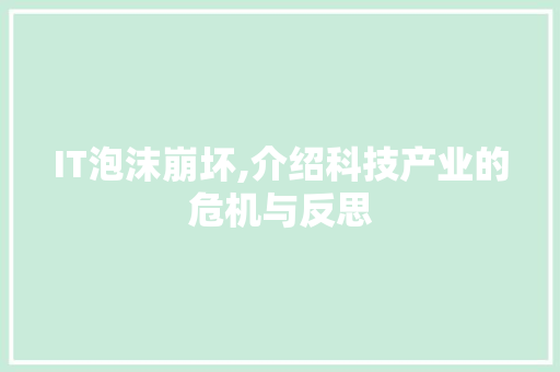 IT泡沫崩坏,介绍科技产业的危机与反思 英文谷歌算法