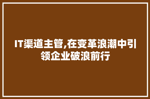 IT渠道主管,在变革浪潮中引领企业破浪前行 360搜优化