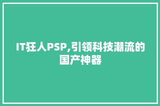 IT狂人PSP,引领科技潮流的国产神器 搜狗优化