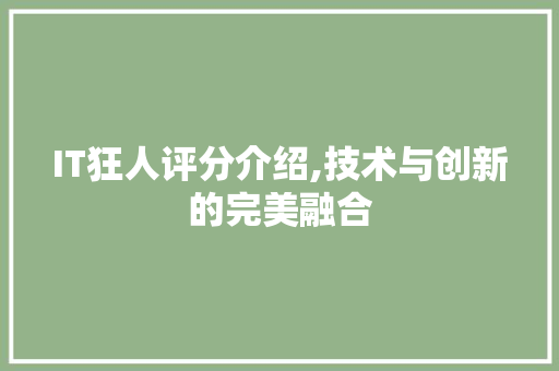 IT狂人评分介绍,技术与创新的完美融合
