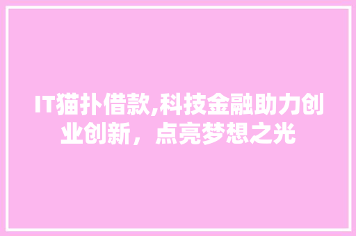 IT猫扑借款,科技金融助力创业创新，点亮梦想之光 小程序开发