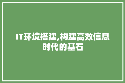IT环境搭建,构建高效信息时代的基石 英文谷歌算法
