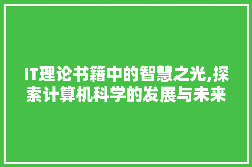 IT理论书籍中的智慧之光,探索计算机科学的发展与未来