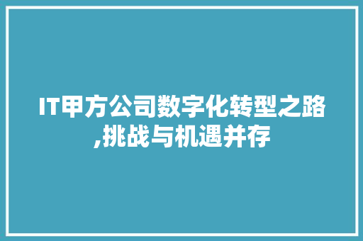 IT甲方公司数字化转型之路,挑战与机遇并存 360搜优化