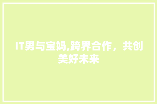 IT男与宝妈,跨界合作，共创美好未来 小程序开发