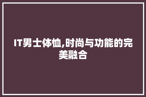 IT男士体恤,时尚与功能的完美融合 英文谷歌算法