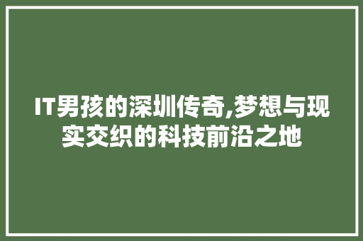 IT男孩的深圳传奇,梦想与现实交织的科技前沿之地 网站开发