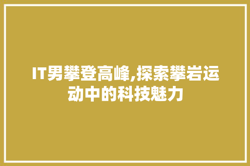 IT男攀登高峰,探索攀岩运动中的科技魅力