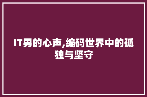 IT男的心声,编码世界中的孤独与坚守