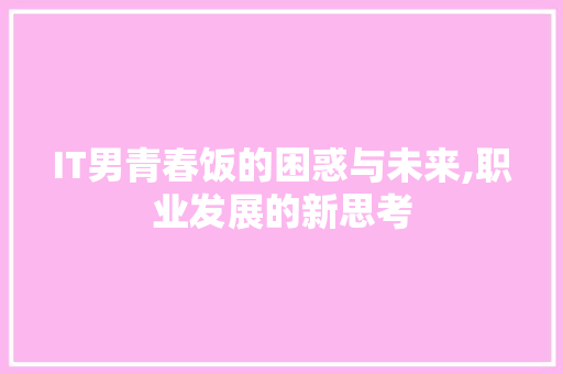 IT男青春饭的困惑与未来,职业发展的新思考 搜狗优化