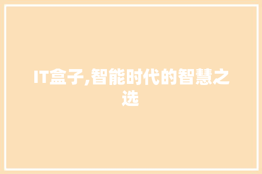 IT盒子,智能时代的智慧之选 搜狗优化