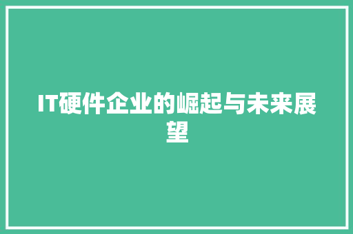 IT硬件企业的崛起与未来展望
