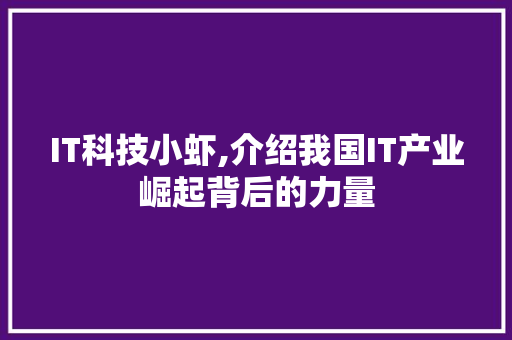 IT科技小虾,介绍我国IT产业崛起背后的力量