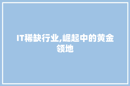 IT稀缺行业,崛起中的黄金领地 seo技术