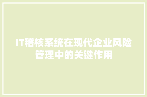 IT稽核系统在现代企业风险管理中的关键作用 360搜优化
