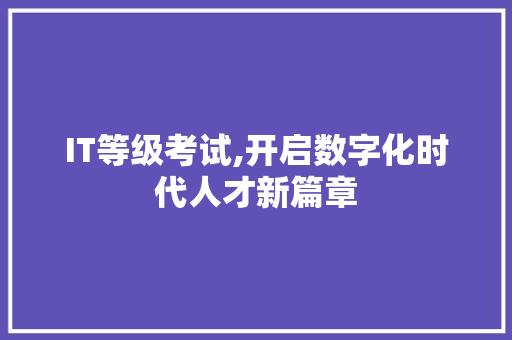 IT等级考试,开启数字化时代人才新篇章