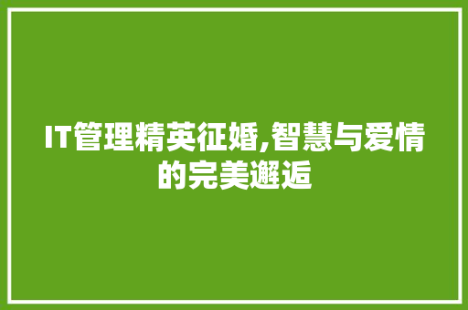 IT管理精英征婚,智慧与爱情的完美邂逅 百度算法
