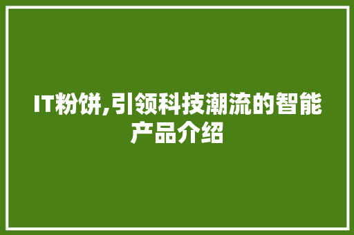IT粉饼,引领科技潮流的智能产品介绍