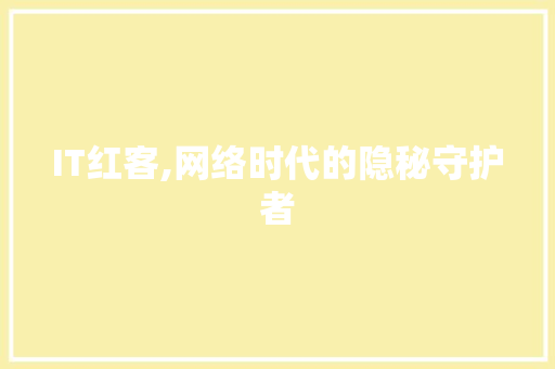 IT红客,网络时代的隐秘守护者