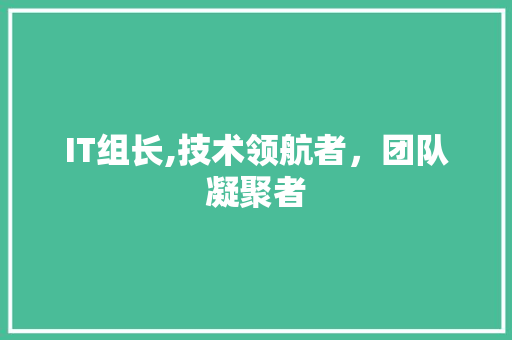IT组长,技术领航者，团队凝聚者