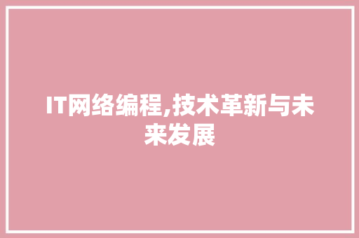 IT网络编程,技术革新与未来发展