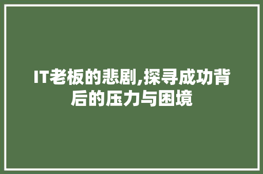 IT老板的悲剧,探寻成功背后的压力与困境