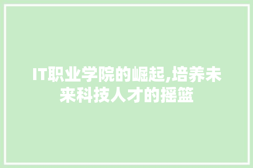 IT职业学院的崛起,培养未来科技人才的摇篮 英文谷歌算法