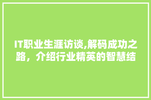 IT职业生涯访谈,解码成功之路,介绍行业精英的智慧结晶 英文谷歌算法 IT职业生涯访谈,解码成功之路,介绍行业精英的智慧结晶 英文谷歌算法