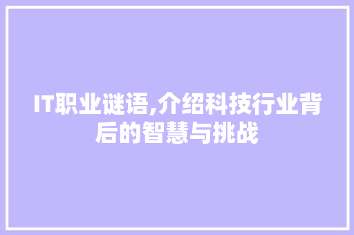 IT职业谜语,介绍科技行业背后的智慧与挑战
