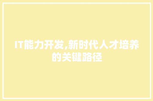 IT能力开发,新时代人才培养的关键路径