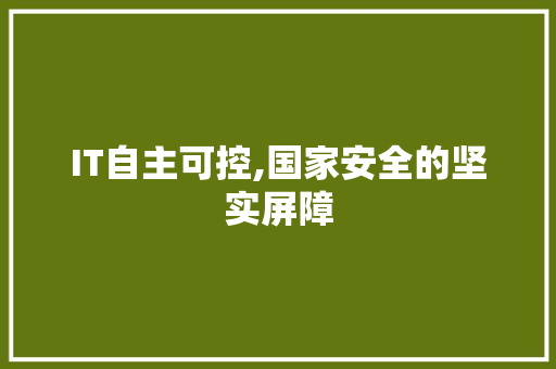 IT自主可控,国家安全的坚实屏障