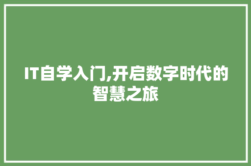 IT自学入门,开启数字时代的智慧之旅