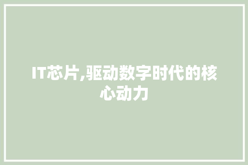 IT芯片,驱动数字时代的核心动力