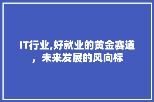 IT行业,好就业的黄金赛道，未来发展的风向标