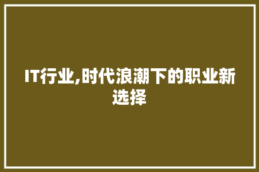 IT行业,时代浪潮下的职业新选择