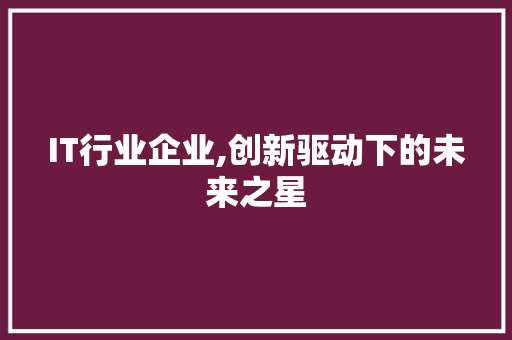 IT行业企业,创新驱动下的未来之星 网站优化
