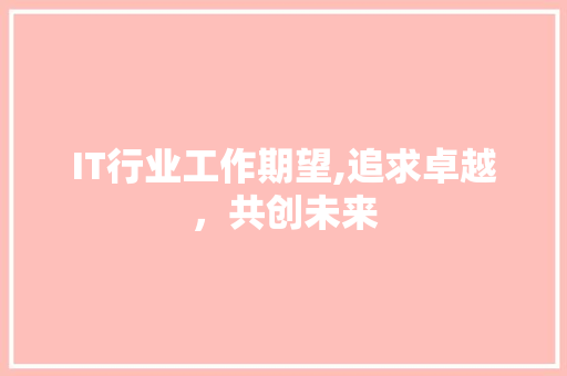 IT行业工作期望,追求卓越，共创未来 seo技术