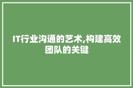 IT行业沟通的艺术,构建高效团队的关键 360搜优化